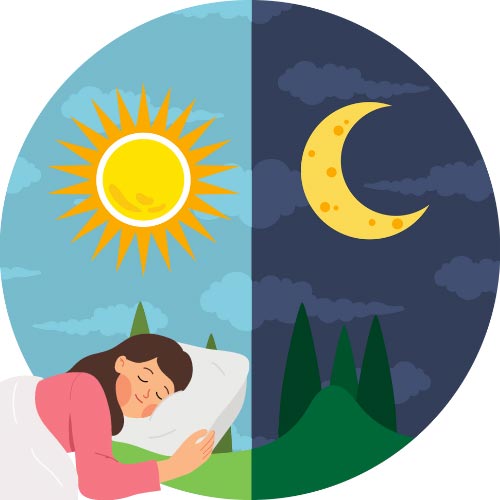Light and Dark cycles help regulate our circadian rhythms.