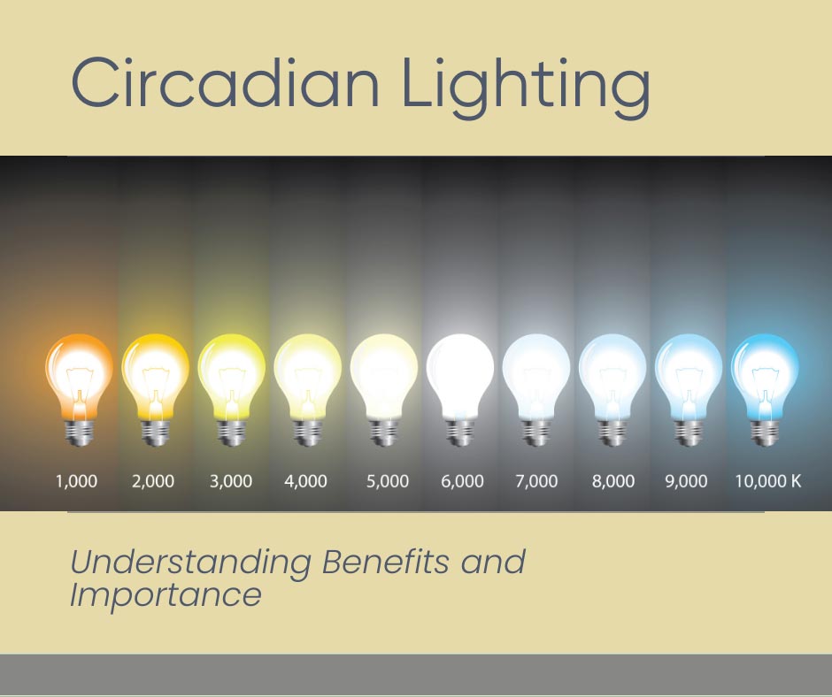 Graphic with light bulbs at different watts. Circadian Lighting - Understanding the Benefits and Importance