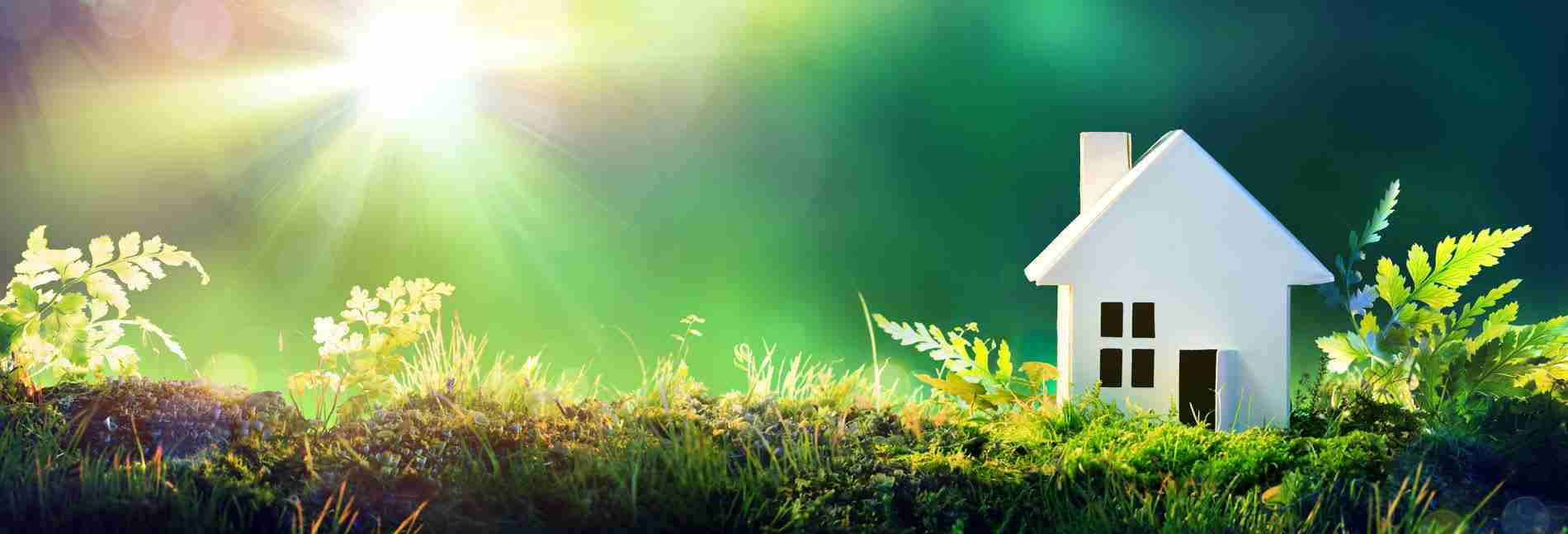 7 Revolutionary Green Building Practices