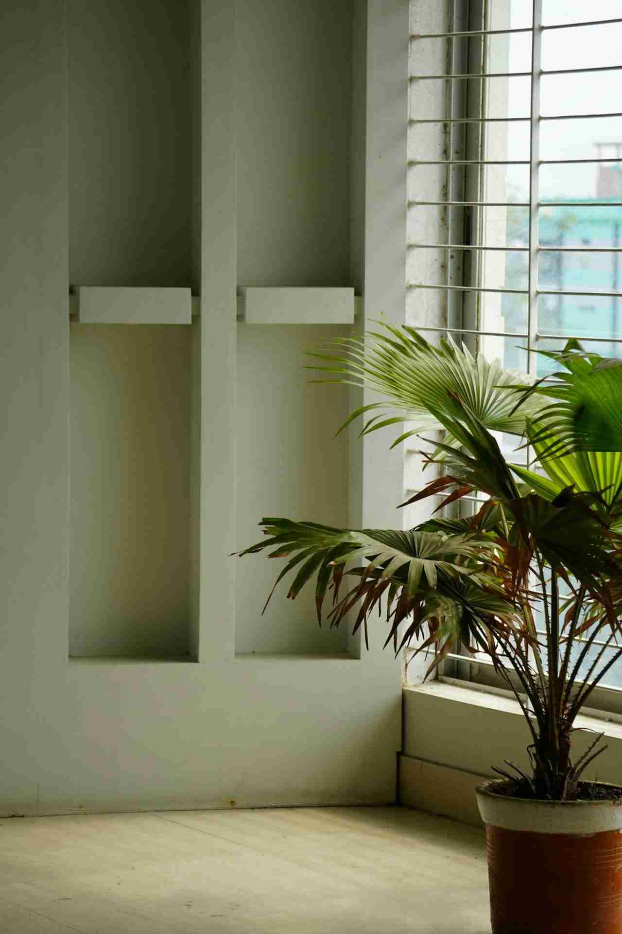 5 Essential Secrets to Transform Your Home's Air Quality and Climate
