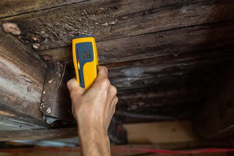 Moisture meter reading behind a wall — mold remediation diagnostic